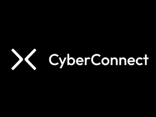 CYBER幣的發(fā)行價(jià)是多少？CYBER幣還能繼續(xù)上漲嗎？