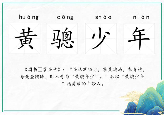 黃驄少年的意思