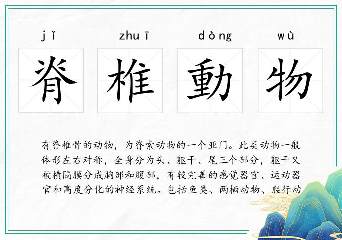 脊椎動物的意思