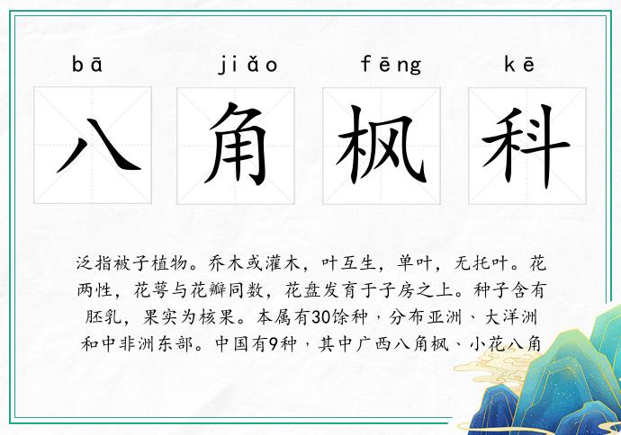 八角楓科的意思