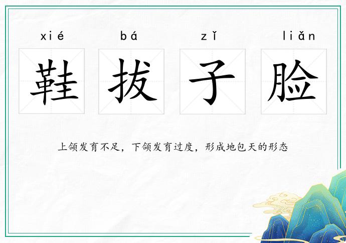 鞋拔子臉的意思
