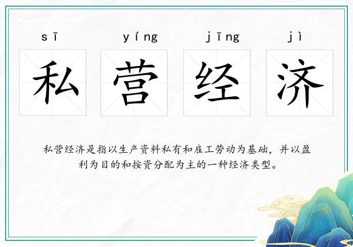 私營(yíng)經(jīng)濟(jì)的意思