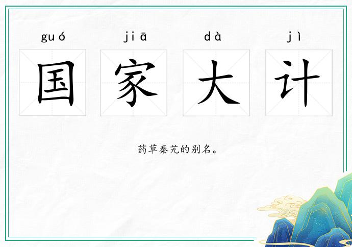 國(guó)家大計(jì)的意思