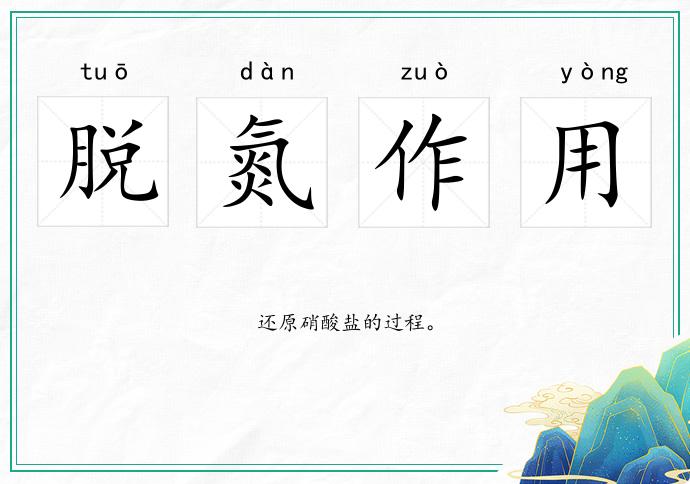 脫氮作用的意思