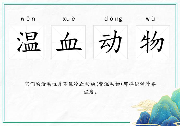 溫血動物的意思