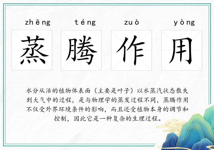 蒸騰作用的意思