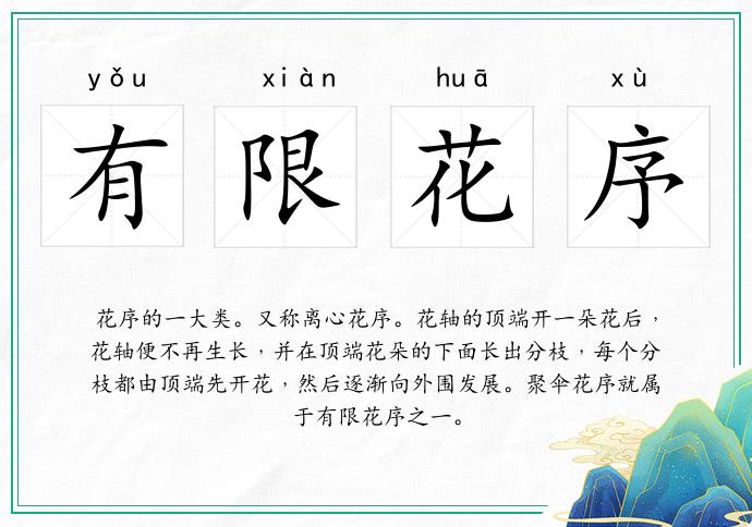 有限花序的意思