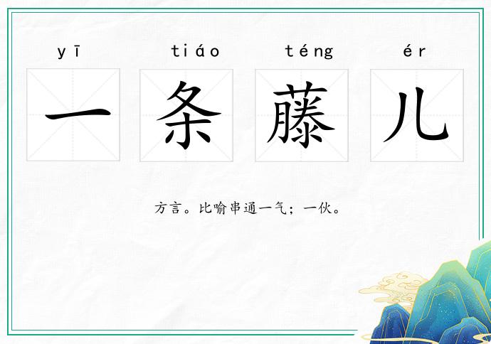一條藤兒的意思