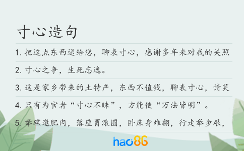 寸心造句