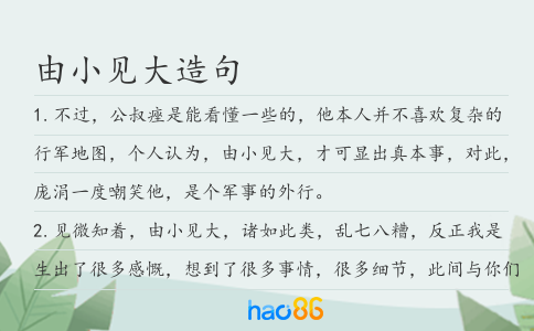 由小見大造句