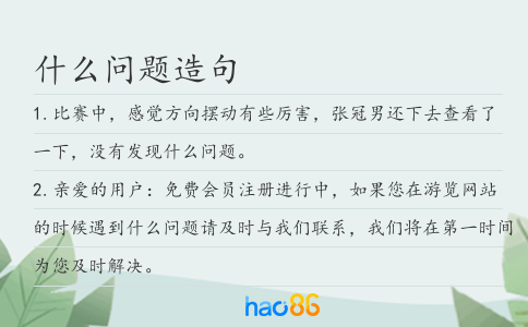 什么問題造句