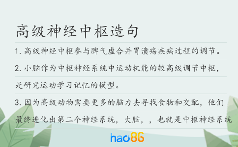 高級神經中樞造句