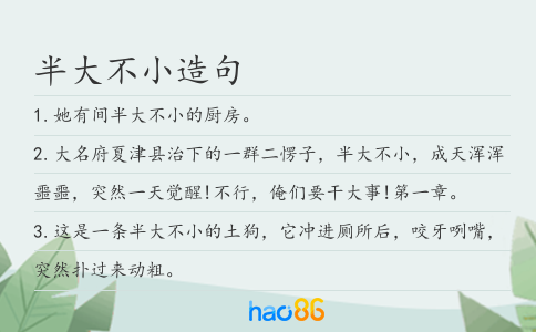 半大不小造句