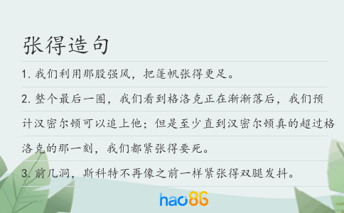 張得造句