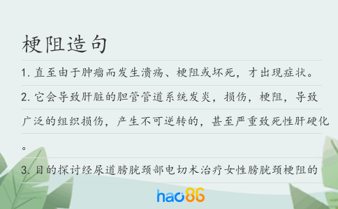 梗阻造句