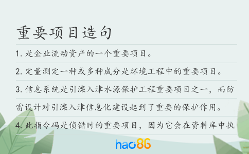 重要項目造句