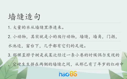 墻縫造句