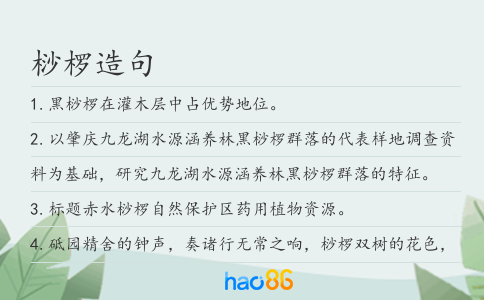 桫欏造句