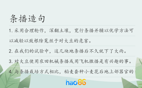 條播造句