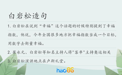 白巖松造句