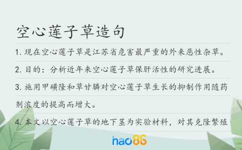 空心蓮子草造句