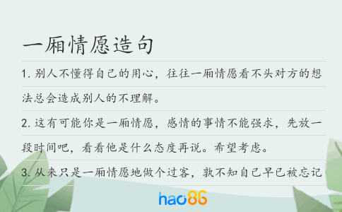一廂情愿造句