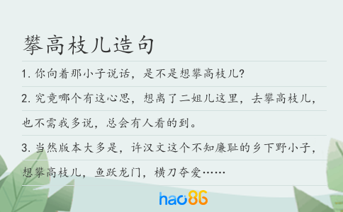 攀高枝兒造句