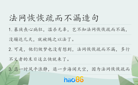 法網恢恢疏而不漏造句
