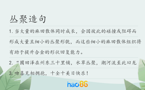 叢聚造句