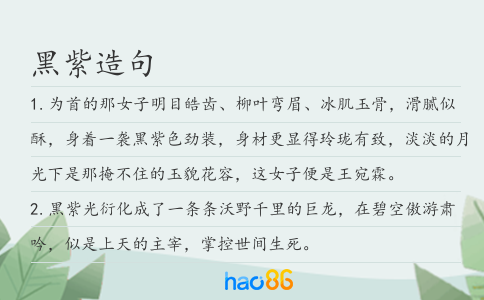 黑紫造句