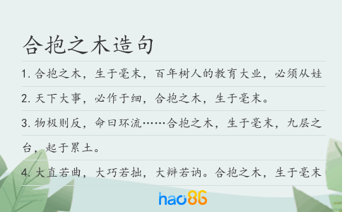 合抱之木造句