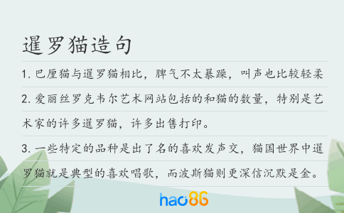 暹羅貓造句