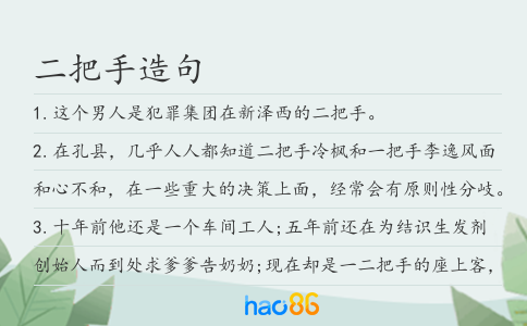 二把手造句