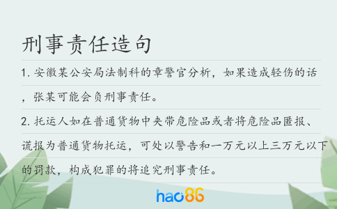 刑事責(zé)任造句