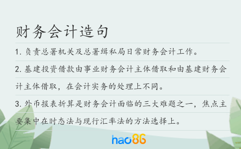 財務會計造句