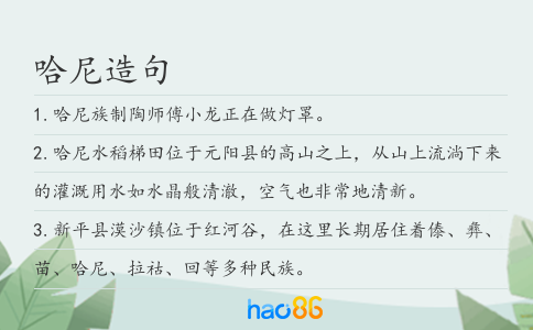 哈尼造句