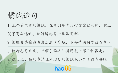 慣賊造句