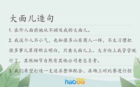 大面兒造句