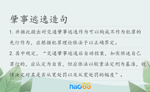 肇事逃逸造句