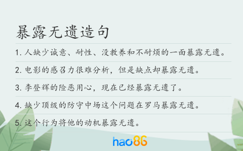 暴露無遺造句
