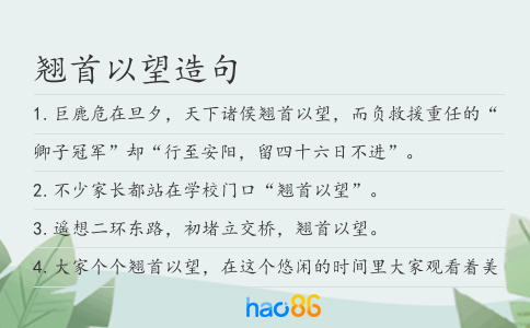 翹首以望造句