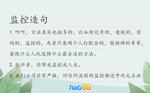 監控造句