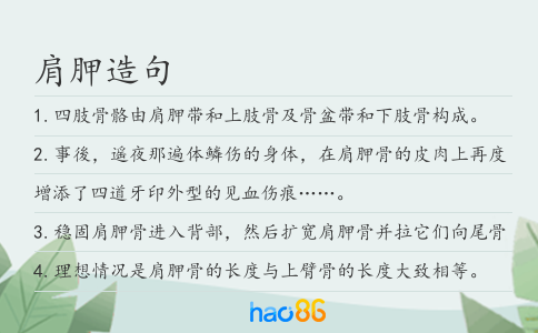 肩胛造句