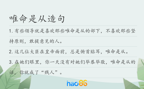 唯命是從造句