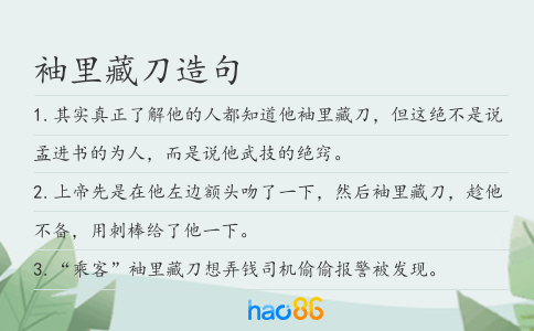 袖里藏刀造句