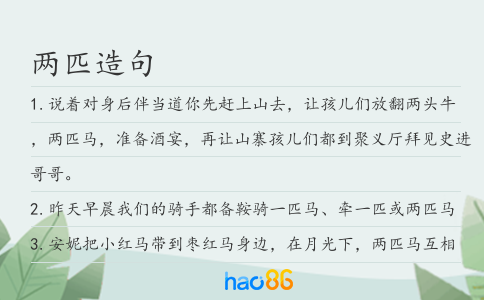 兩匹造句