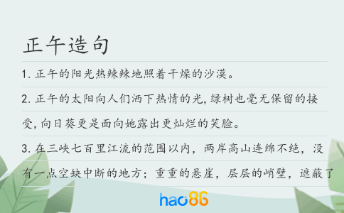 正午造句