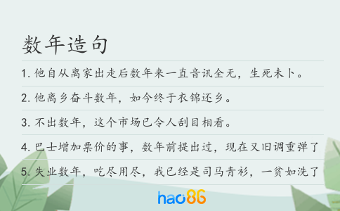 數(shù)年造句
