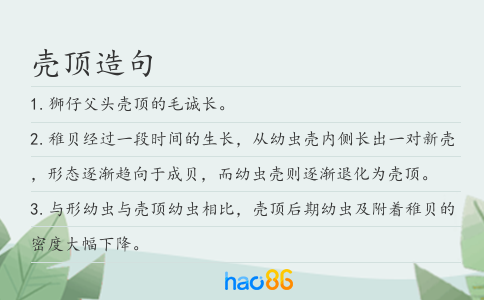 殼頂造句