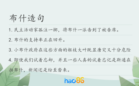 布什造句